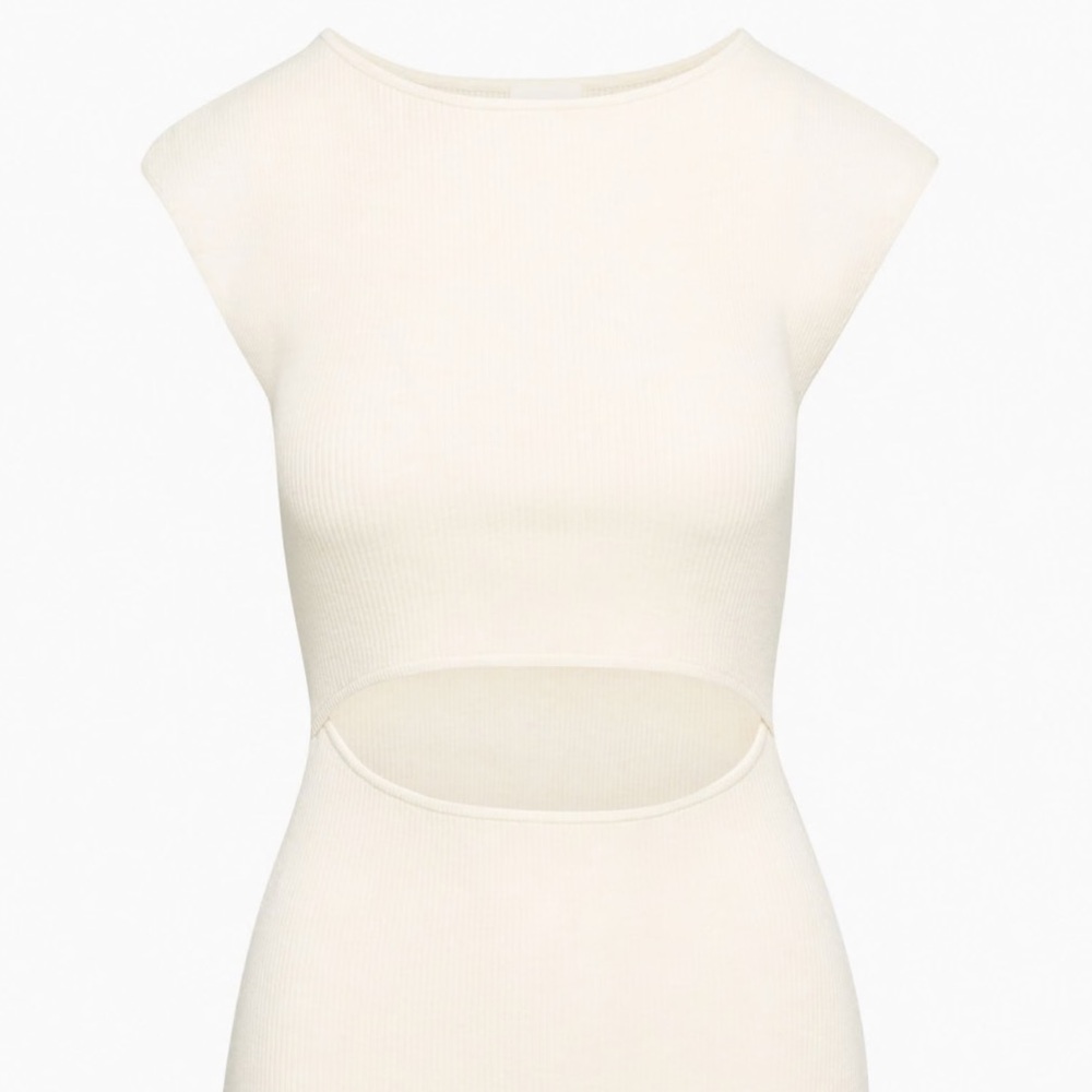 Aritzia Knit Mini Dress